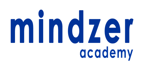 Mindzer Academy